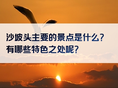 沙坡头主要的景点是什么？有哪些特色之处呢？