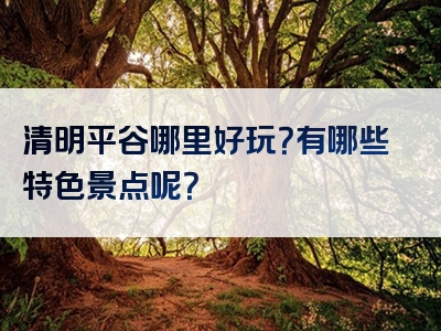 清明平谷哪里好玩？有哪些特色景点呢？