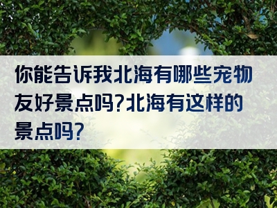 你能告诉我北海有哪些宠物友好景点吗？北海有这样的景点吗？