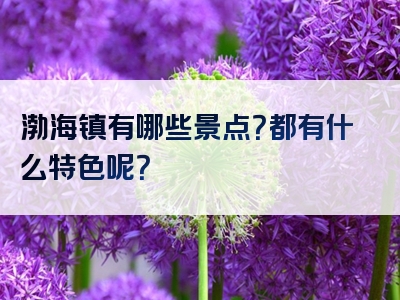 渤海镇有哪些景点？都有什么特色呢？