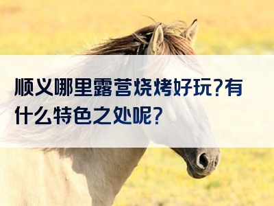 顺义哪里露营烧烤好玩？有什么特色之处呢？