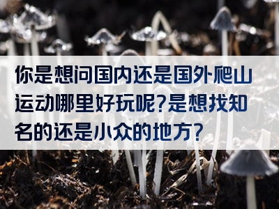 你是想问国内还是国外爬山运动哪里好玩呢？是想找知名的还是小众的地方？