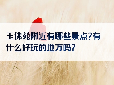 玉佛苑附近有哪些景点？有什么好玩的地方吗？