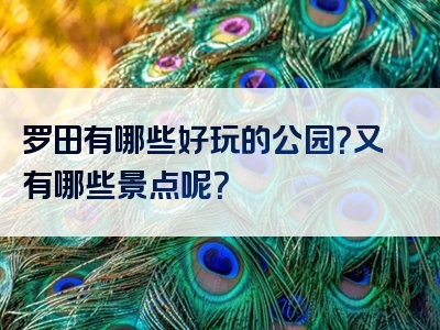 罗田有哪些好玩的公园？又有哪些景点呢？