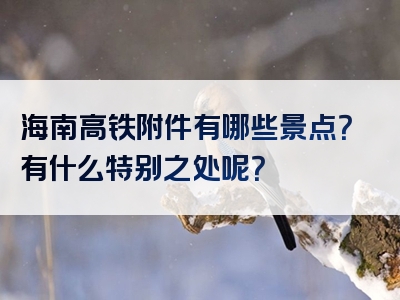 海南高铁附件有哪些景点？有什么特别之处呢？