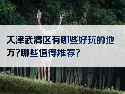 天津武清区有哪些好玩的地方？哪些值得推荐？