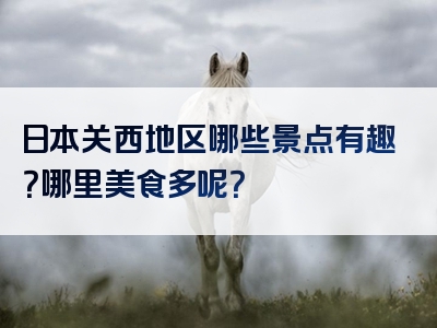 日本关西地区哪些景点有趣？哪里美食多呢？