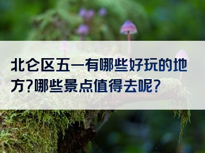 北仑区五一有哪些好玩的地方？哪些景点值得去呢？