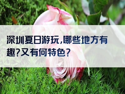 深圳夏日游玩，哪些地方有趣？又有何特色？