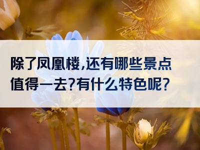 除了凤凰楼，还有哪些景点值得一去？有什么特色呢？