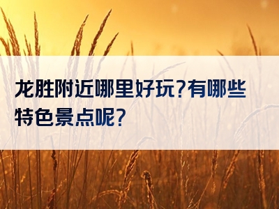 龙胜附近哪里好玩？有哪些特色景点呢？