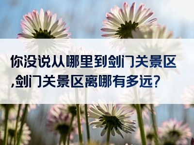 你没说从哪里到剑门关景区，剑门关景区离哪有多远？