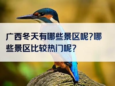 广西冬天有哪些景区呢？哪些景区比较热门呢？