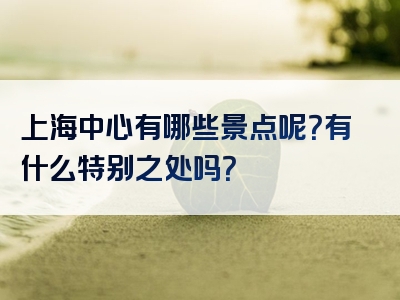 上海中心有哪些景点呢？有什么特别之处吗？