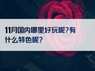 11月国内哪里好玩呢？有什么特色呢？