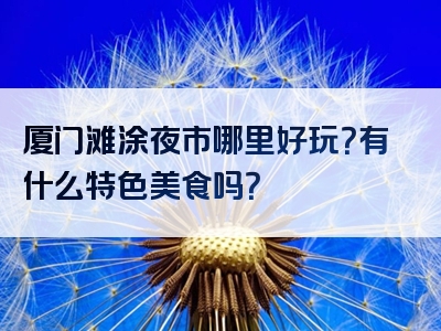 厦门滩涂夜市哪里好玩？有什么特色美食吗？