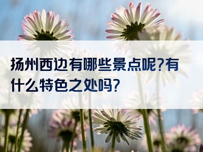 扬州西边有哪些景点呢？有什么特色之处吗？