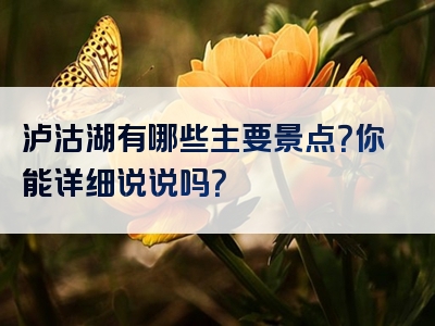泸沽湖有哪些主要景点？你能详细说说吗？