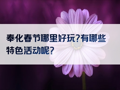 奉化春节哪里好玩？有哪些特色活动呢？
