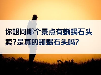 你想问哪个景点有蜥蜴石头卖？是真的蜥蜴石头吗？