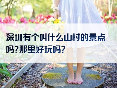 深圳有个叫什么山村的景点吗？那里好玩吗？