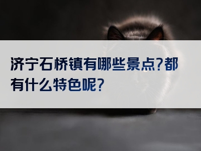 济宁石桥镇有哪些景点？都有什么特色呢？