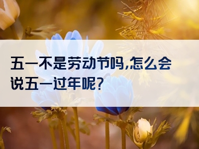 五一不是劳动节吗，怎么会说五一过年呢？