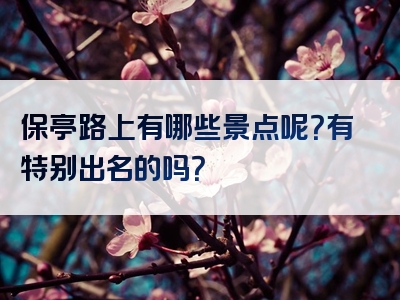 保亭路上有哪些景点呢？有特别出名的吗？