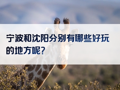 宁波和沈阳分别有哪些好玩的地方呢？