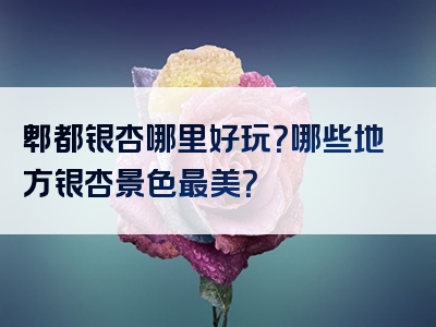 郫都银杏哪里好玩？哪些地方银杏景色最美？