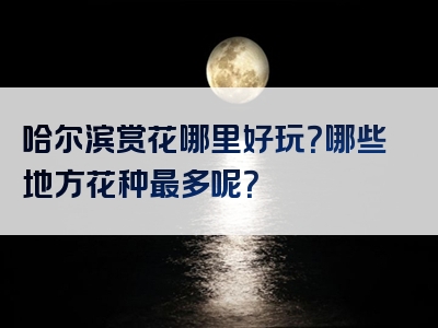 哈尔滨赏花哪里好玩？哪些地方花种最多呢？