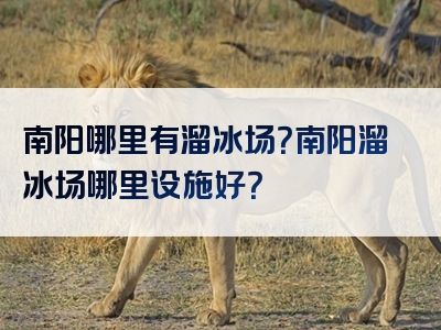 南阳哪里有溜冰场？南阳溜冰场哪里设施好？