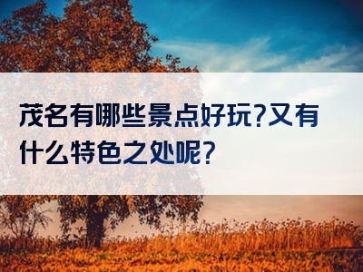 茂名有哪些景点好玩？又有什么特色之处呢？