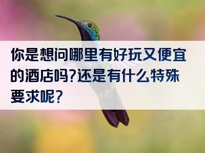 你是想问哪里有好玩又便宜的酒店吗？还是有什么特殊要求呢？