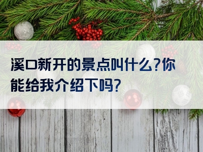 溪口新开的景点叫什么？你能给我介绍下吗？