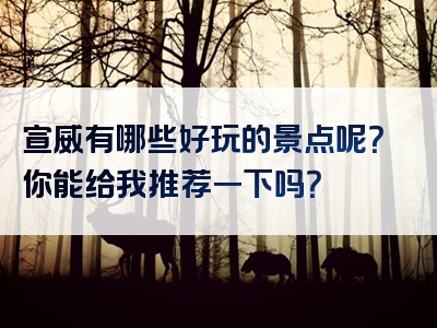 宣威有哪些好玩的景点呢？你能给我推荐一下吗？