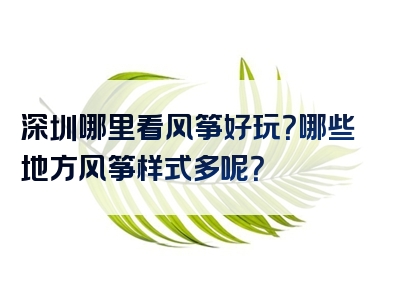 深圳哪里看风筝好玩？哪些地方风筝样式多呢？