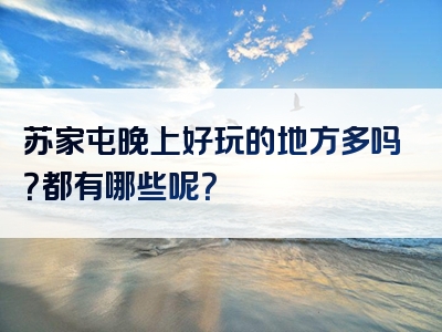 苏家屯晚上好玩的地方多吗？都有哪些呢？