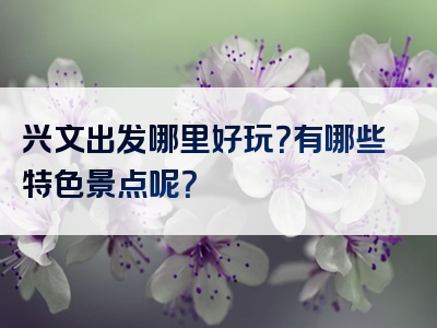 兴文出发哪里好玩？有哪些特色景点呢？