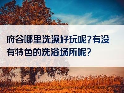 府谷哪里洗澡好玩呢？有没有特色的洗浴场所呢？
