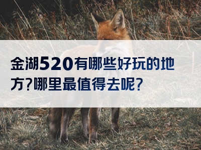 金湖520有哪些好玩的地方？哪里最值得去呢？