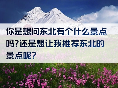 你是想问东北有个什么景点吗？还是想让我推荐东北的景点呢？