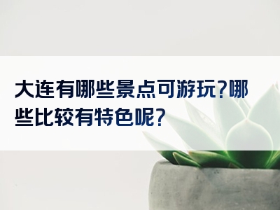 大连有哪些景点可游玩？哪些比较有特色呢？