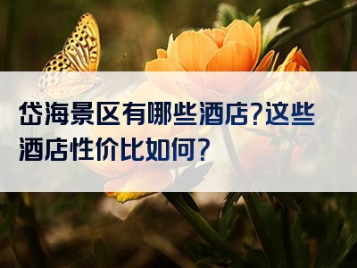 岱海景区有哪些酒店？这些酒店性价比如何？