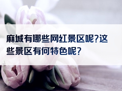 麻城有哪些网红景区呢？这些景区有何特色呢？