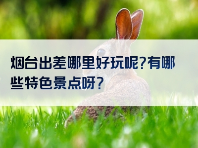 烟台出差哪里好玩呢？有哪些特色景点呀？
