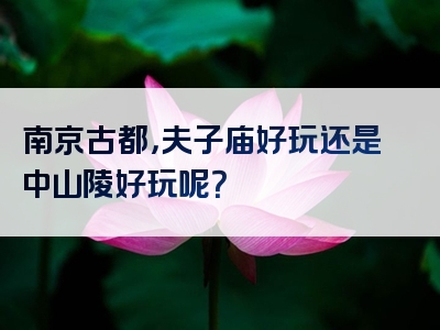 南京古都，夫子庙好玩还是中山陵好玩呢？