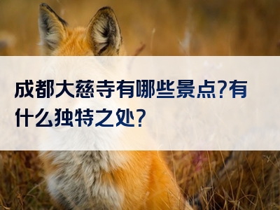 成都大慈寺有哪些景点？有什么独特之处？