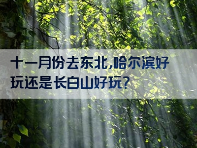 十一月份去东北，哈尔滨好玩还是长白山好玩？