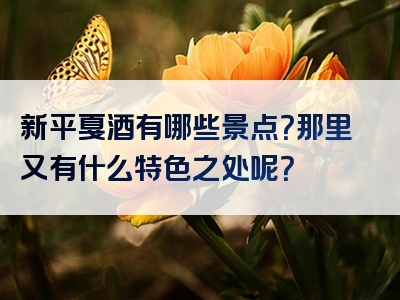 新平戛酒有哪些景点？那里又有什么特色之处呢？